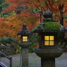 京都 愛宕念仏寺