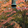 紅葉　南禅寺