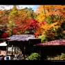 大山寺5