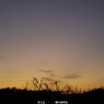 P1010362