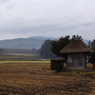 田んぼの中にひっそりと