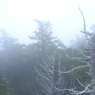 富士山歩