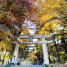 宝登の秋彩