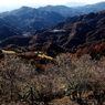 山並み