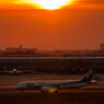 787×Sunset