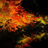 鏡池