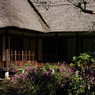 鎌倉秋色情報Ⅰ（浄智寺）