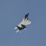 岐阜航空祭F150002