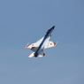 岐阜航空祭F20001