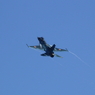 岐阜航空祭F20008