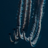 GIFU　BASE　　ブルーインパルス　航空祭2013　⑤
