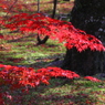 燃える南禅寺境内　その４