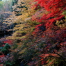 紅響樂