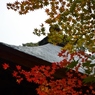 黄・紅・堂