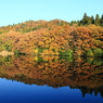 水辺紅葉の鏡