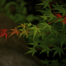 Gradation