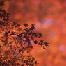 紅の刻