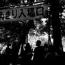 Color of Nara  1/30