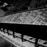 Color of Nara  8/30