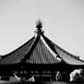 Color of Nara 29/30
