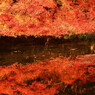 比叡山ふもとの紅葉