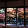 蓮華寺1
