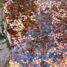 落葉の彩 - 水紅葉2
