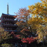 本土寺にて。。。１