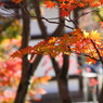 本土寺にて。。。４
