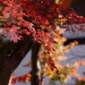 本土寺にて。。。５