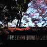 本土寺にて。。。６