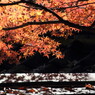 本土寺にて。。。９