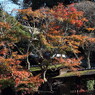 本土寺にて。。。１３