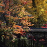 本土寺にて。。。１４