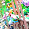 jubilation