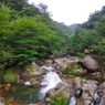 白川雲水峡