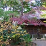 三渓園　旧東慶寺仏殿