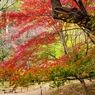 三渓園　外周
