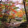 三渓園　外苑の川