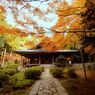 大原・来迎院の紅葉