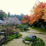 春秋混合の庭・実光院