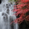 徳川園　滝