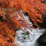 徳川園
