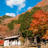 山の上は冬、ふもとは秋
