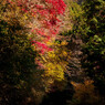 紅と黄のトンネル