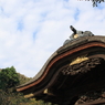 円覚寺2