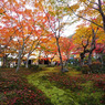 京都の紅葉2013　1-6