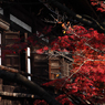 京都の紅葉2013　1-14
