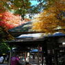 大興善寺の紅葉（１）