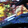 東慶寺の秋 01